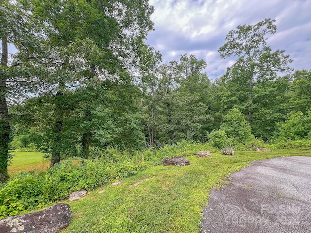 225 A Virea Dr Unit 5, Hendersonville NC, 28739 land for sale