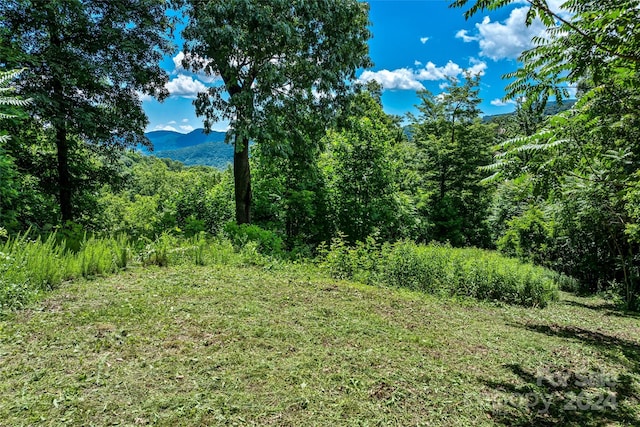 TBD Kestrel Ln Unit T-75, Black Mountain NC, 28711 land for sale