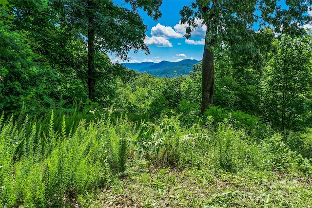 Listing photo 3 for TBD Kestrel Ln Unit T-75, Black Mountain NC 28711