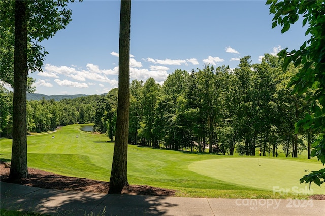 surrounding community with a lawn