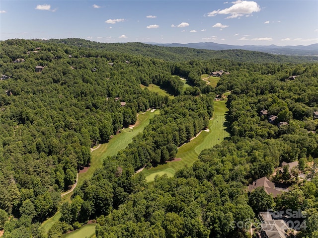 aerial view with a mountain view