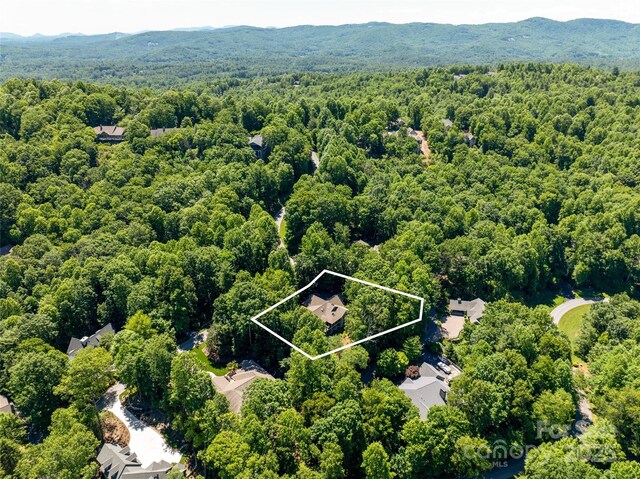 57 Old Hickory Trl, Hendersonville, NC 28739 - view of property location with a forest and property boundaries highlighted