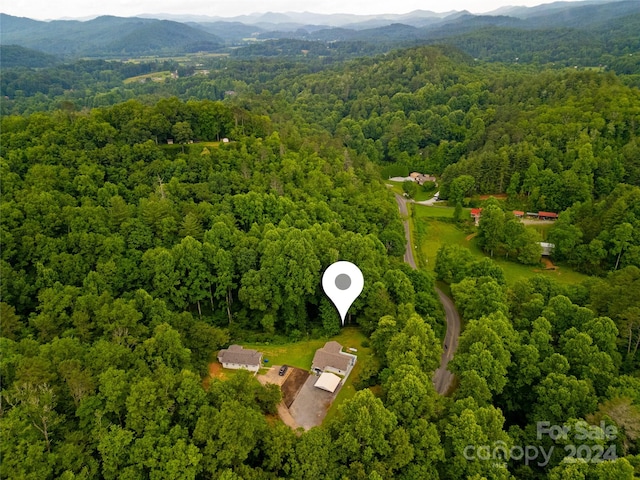 birds eye view of property featuring a mountain view