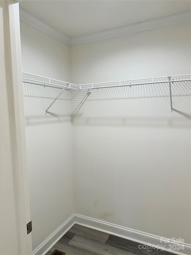 walk in closet with dark wood finished floors