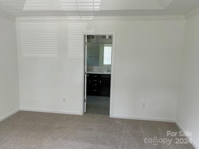 empty room with light carpet, sink, and crown molding