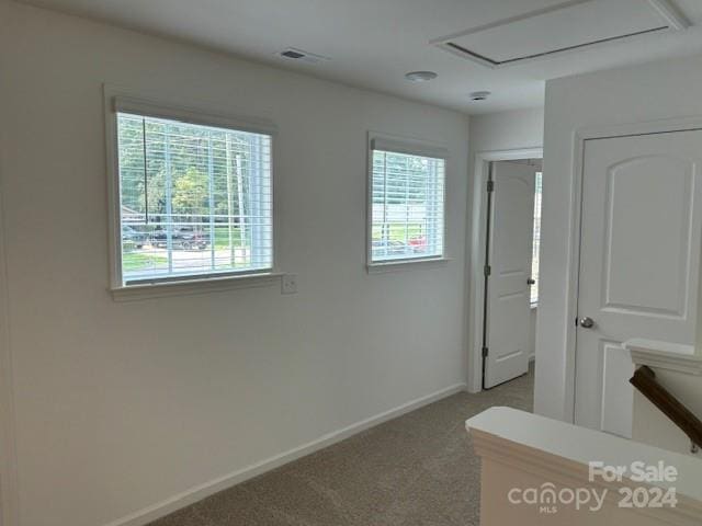 interior space featuring carpet flooring and a wealth of natural light