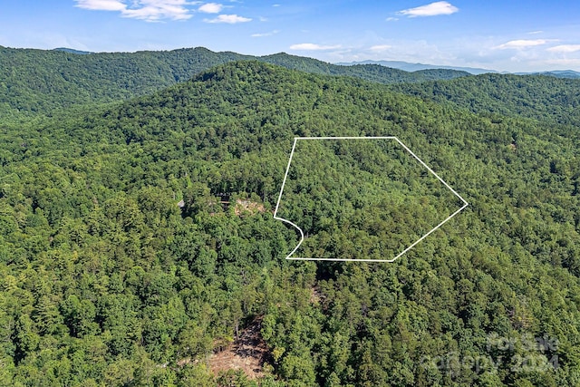 LotI Frozen Creek Road, Brevard NC, 28712 land for sale