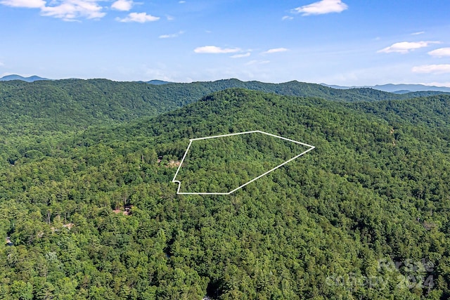 Listing photo 2 for LotI Frozen Creek Road, Brevard NC 28712