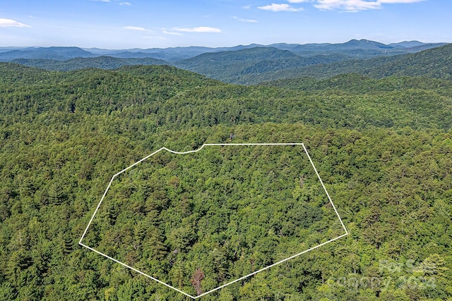 Listing photo 3 for LotI Frozen Creek Road, Brevard NC 28712