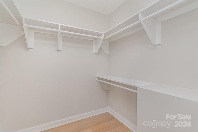 walk in closet featuring hardwood / wood-style flooring