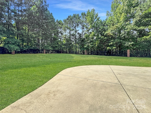 view of yard featuring a patio