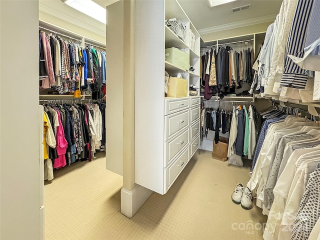 view of walk in closet