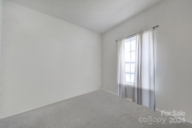 unfurnished room featuring carpet and a textured ceiling