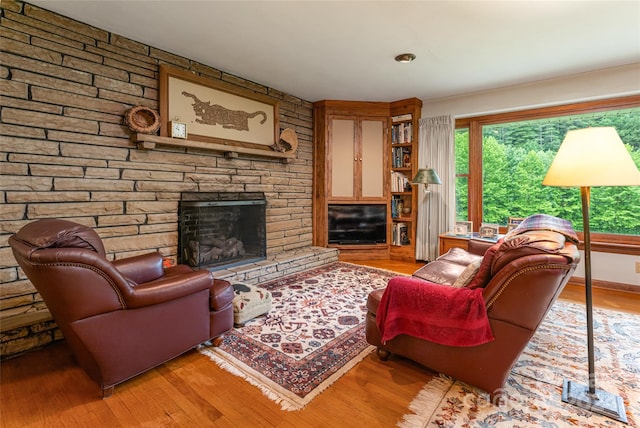 living room with a fireplace and wood-type flooring