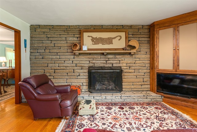 living room featuring a stone fireplace and wood-type flooring