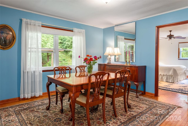 dining room with ceiling fan, ornamental molding, hardwood / wood-style flooring, and a wealth of natural light