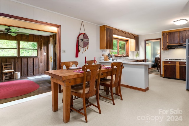 dining space with crown molding, sink, and ceiling fan