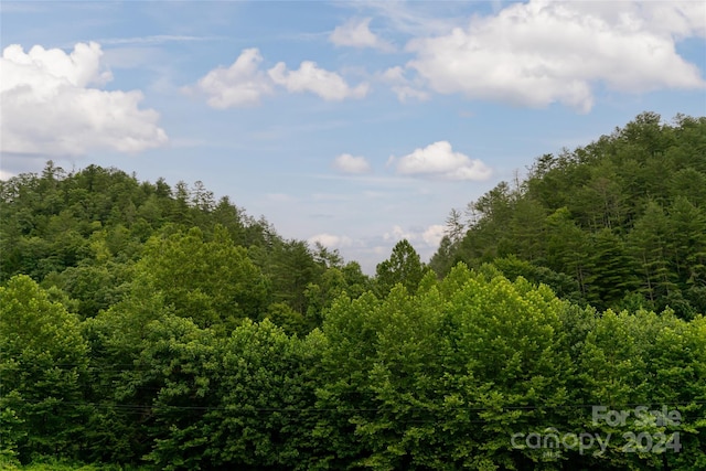 view of landscape