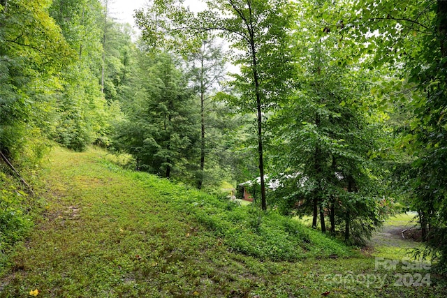 view of landscape