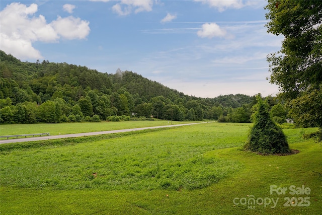 6775 NC-208 Hwy, Marshall, NC 28753 - photo 46