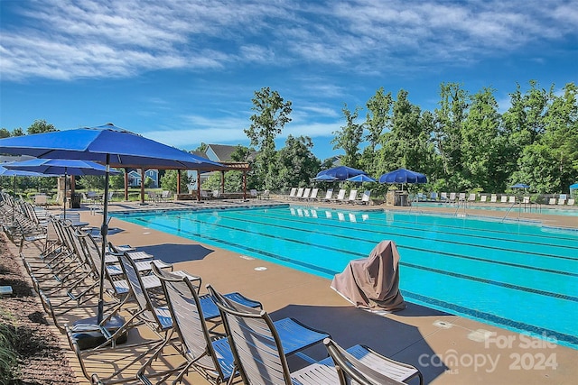 view of swimming pool with a patio