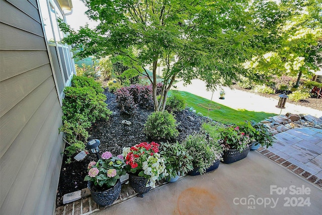 view of yard featuring a patio