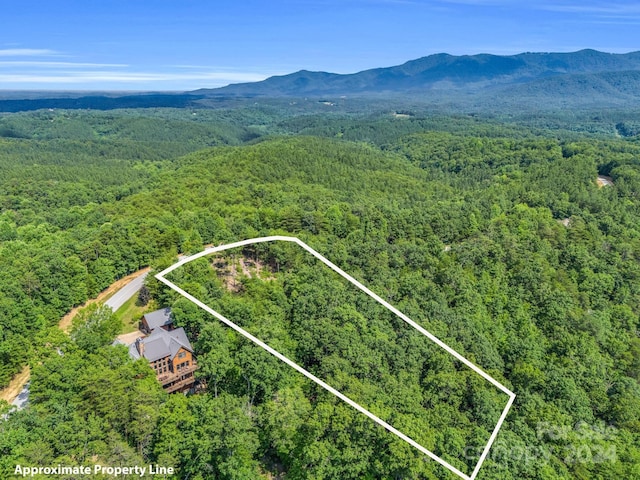 drone / aerial view featuring a mountain view