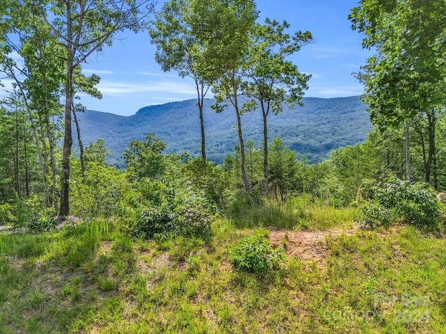 property view of mountains