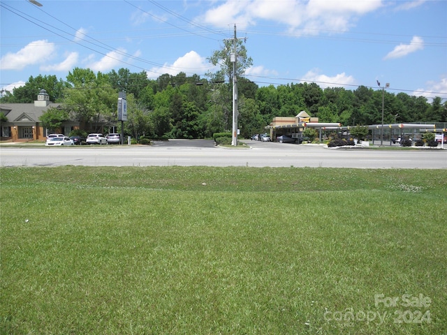 Listing photo 2 for TBD Chesterfield Highway, Cheraw SC 29520