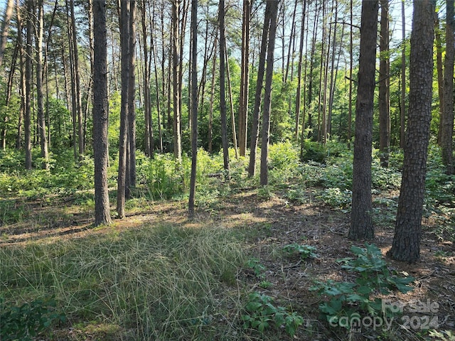 TBD Wildwood Rd, Salisbury NC, 28146 land for sale