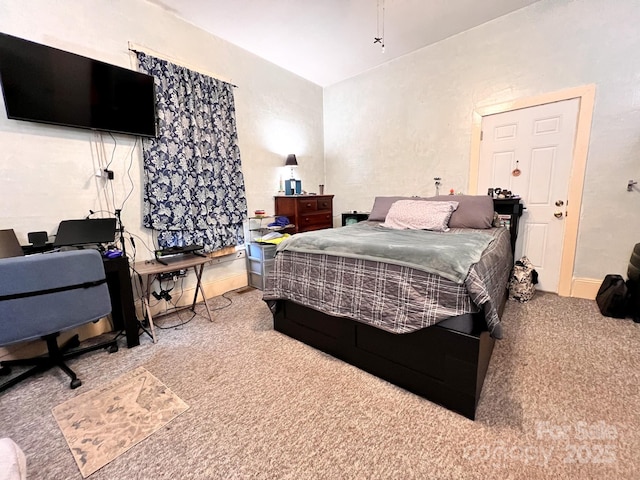 bedroom with carpet floors