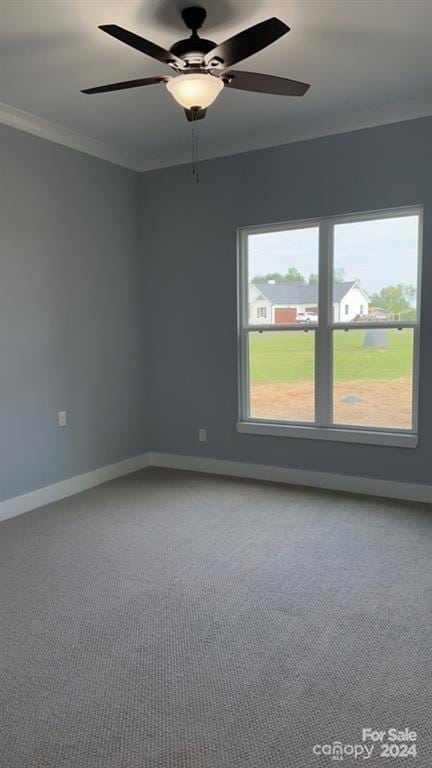 spare room with ceiling fan, crown molding, and carpet