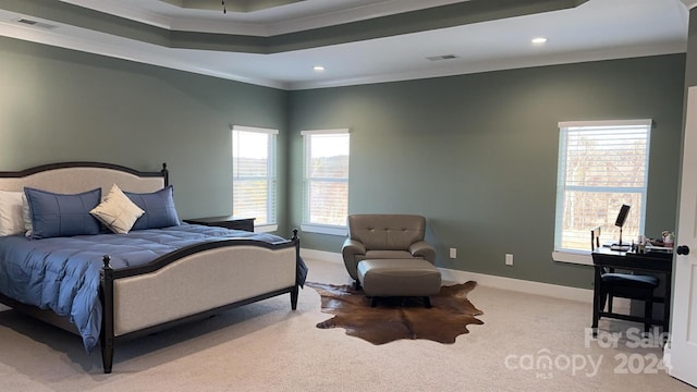 carpeted bedroom featuring ornamental molding and a raised ceiling