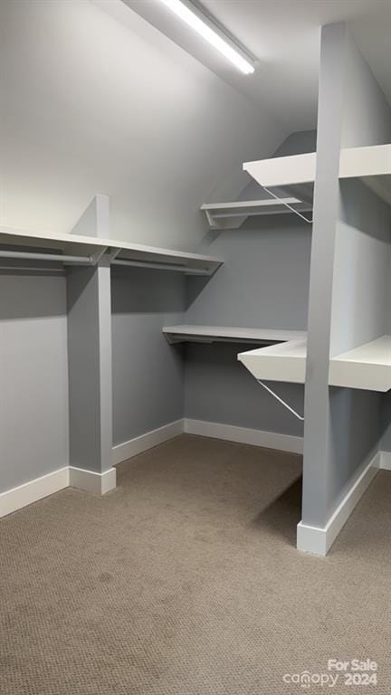 spacious closet with carpet flooring