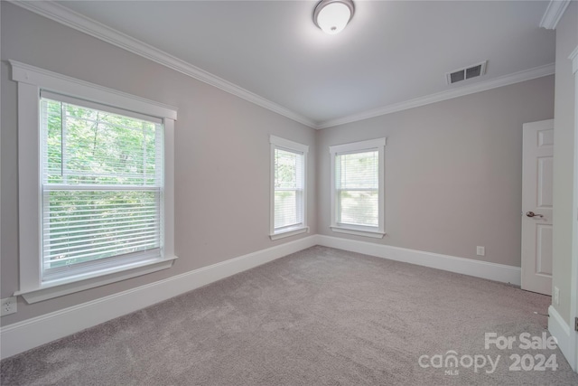 carpeted spare room with ornamental molding