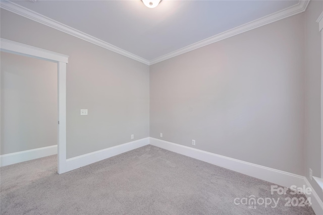 spare room with light colored carpet and ornamental molding