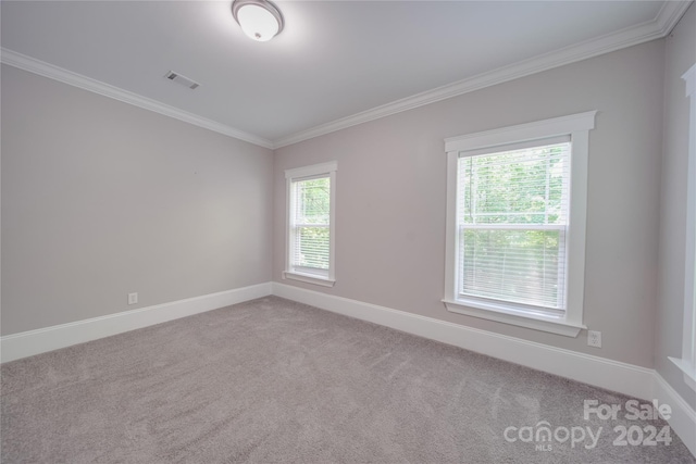 carpeted spare room with crown molding