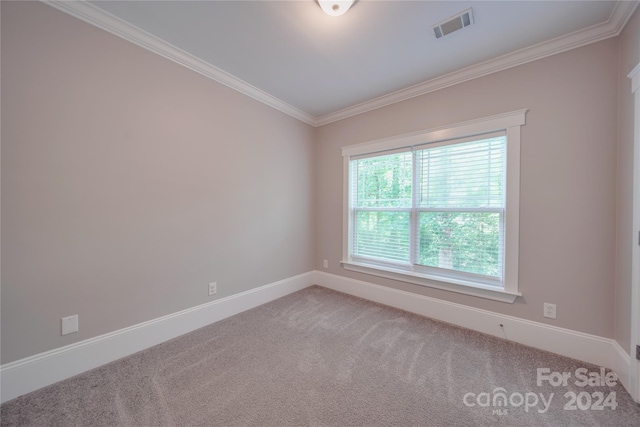 empty room featuring carpet floors and ornamental molding