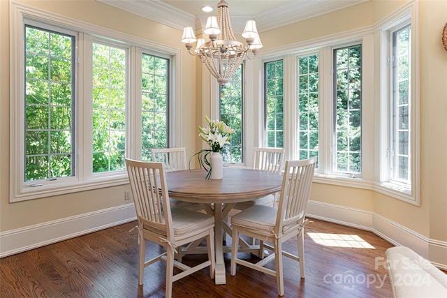 dining room featuring ornamental molding, dark wood-type flooring, and an inviting chandelier