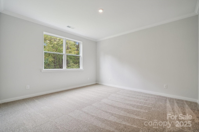 spare room with ornamental molding and carpet flooring