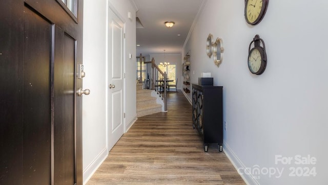 hall with wood-type flooring and crown molding