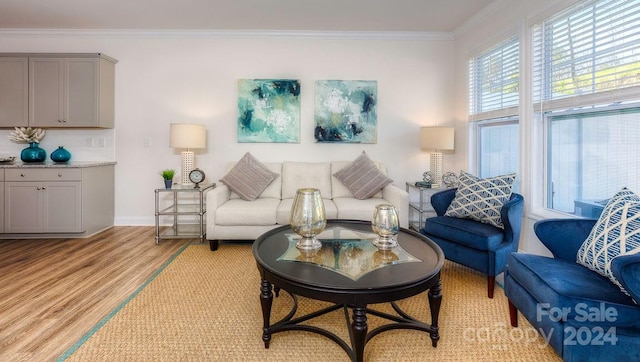 living room with crown molding and light hardwood / wood-style floors