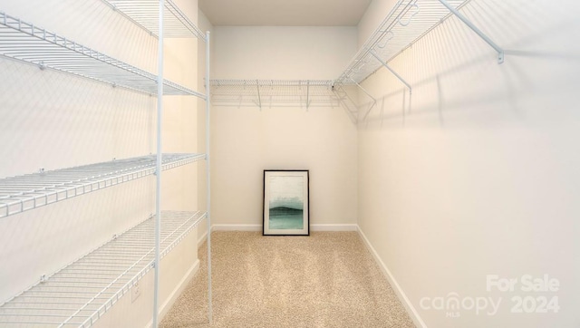 spacious closet with light carpet