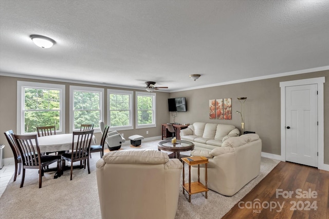 living room featuring a textured ceiling, ceiling fan, crown molding, and wood-type flooring