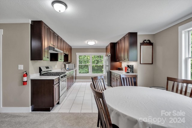 kitchen with light tile patterned floors, sink, stainless steel appliances, and dark brown cabinetry