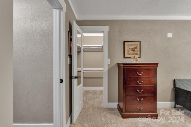 spacious closet featuring light carpet