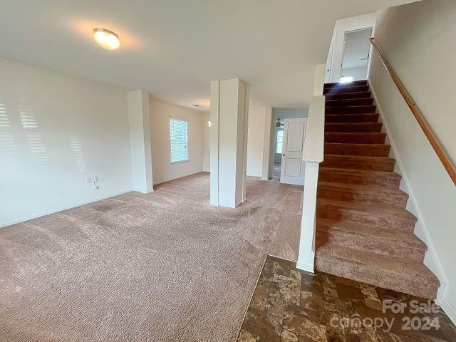 stairway featuring carpet flooring