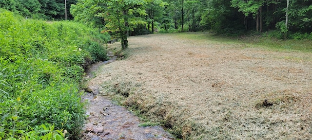 TBD Roaring Fork Rd, Mars Hill NC, 28754 land for sale