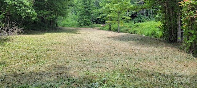 Listing photo 3 for TBD Roaring Fork Rd, Mars Hill NC 28754