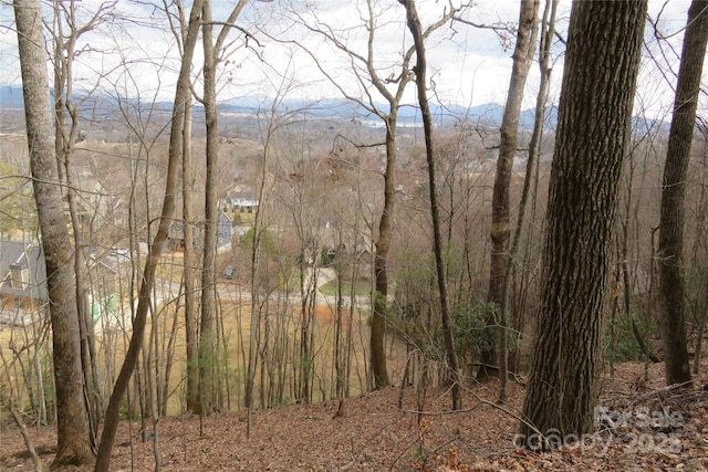 TBD High Vista Dr Lot 165, Mills River NC, 28759 land for sale